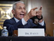 FILE - Dr. Anthony Fauci, director of the National Institute of Allergy and Infectious Diseases, responds to accusations by Sen. Rand Paul, R-Ky., as he testifies before the Senate Health, Education, Labor, and Pensions Committee about the origin of COVID-19, on Capitol Hill in Washington, July 20, 2021. Fauci, the nation's top infectious disease expert who became a household name, and the subject of partisan attacks, during the COVID-19 pandemic, announced Monday he will depart the federal government in December after more than 5 decades of service.   (AP Photo/J.