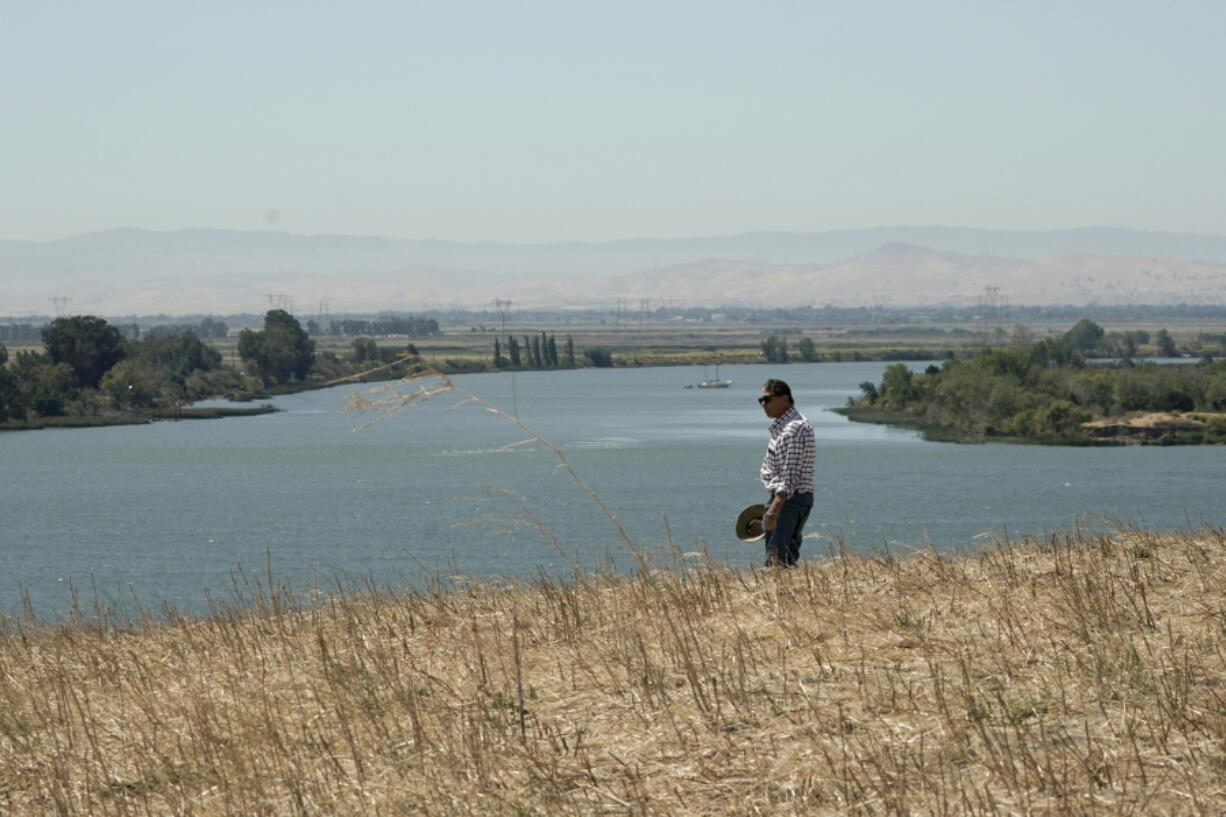 Al Medvitz, who farms alfalfa and other crops, looks out over Sacramento River from a hill on his land near Rio Vista, Calif., on Monday, July 25, 2022. In dry winters like the one California just had, less fresh water flows down from the mountains into the Sacramento River, the state's largest. Medvitz wants approval from the state to build a small reservoir on the property to store fresh water for use in dry times.