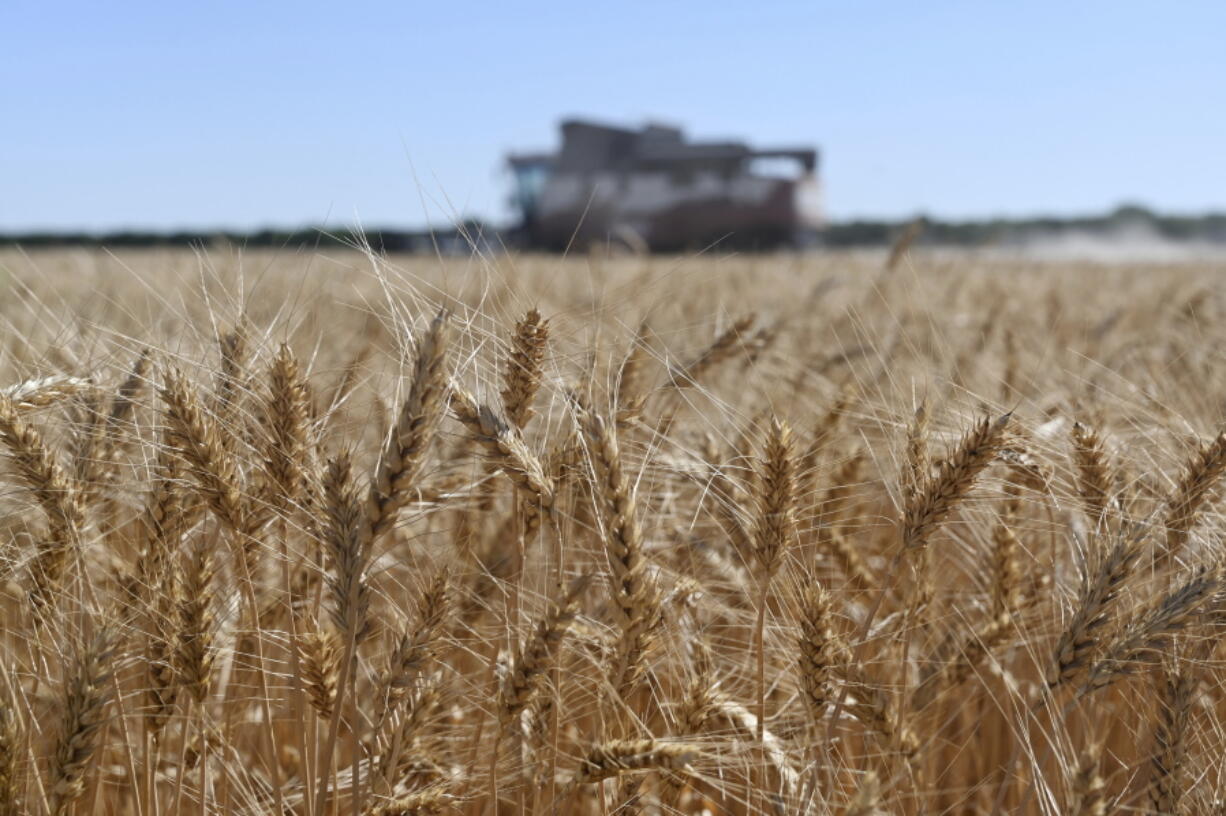 A harvester collects wheat in Semikarakorsky District of Rostov-on-Don region near Semikarakorsk, Southern Russia, Wednesday, July 6, 2022. Russia is the world's biggest exporter of wheat, accounting for almost a fifth of global shipments. It is expected to have one of its best ever crop seasons this year. Agriculture is among the most important industries in Russia, accounting for around 4% of its GDP, according to the World Bank.