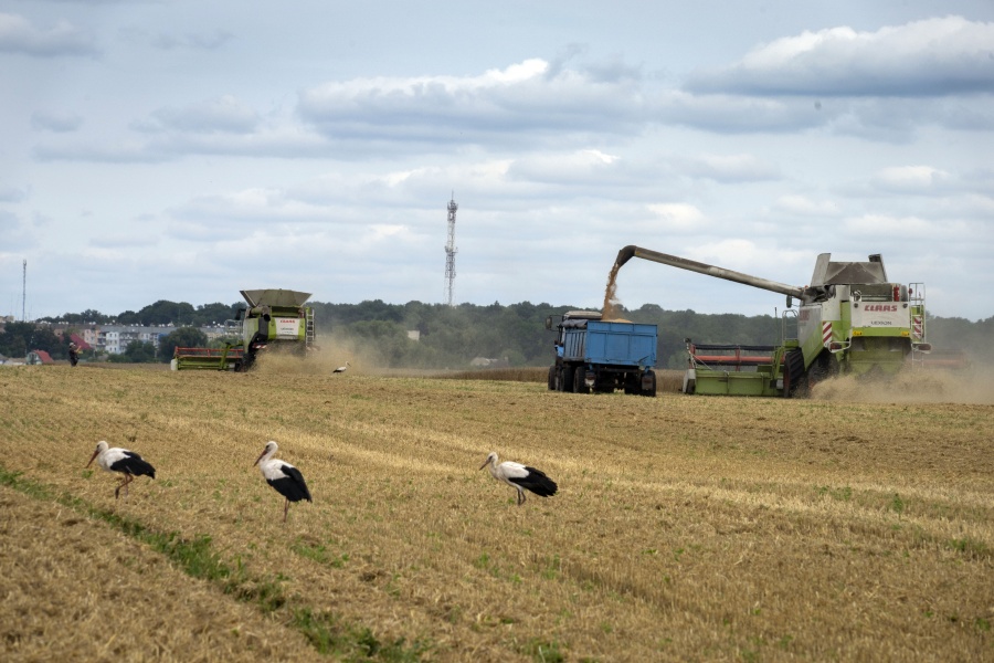 Storks walk in front of harvesters in a wheat field in the village of Zghurivka, Ukraine, Tuesday, Aug. 9, 2022. Before the war, Ukraine was seen as the world's bread basket, exporting 4.5 million tons of agricultural produce a month through its ports. Millions of tons of grain have been stuck due to Russian blockages since February. Under a deal brokered by Turkey and the UN last month, Russia agreed not to target ships in transit, and grain ships started to leave Ukraine as hopes grow for export stability.