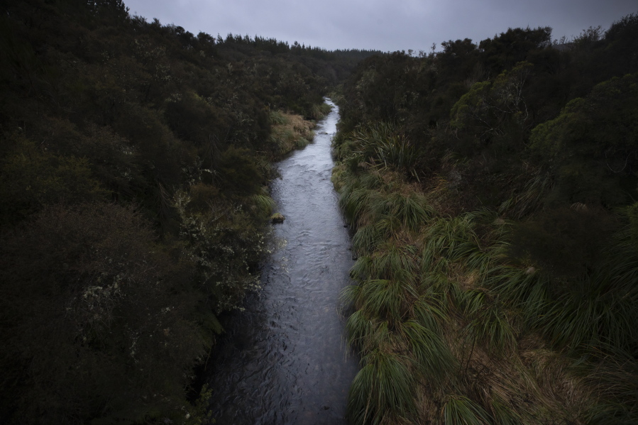 The upper reaches of New Zealand's Whanganui River flow on June 16, 2022. In 2017, New Zealand passed a groundbreaking law granting personhood status to the Whanganui River. The law declares that the river is a living whole, from the mountains to the sea, incorporating all its physical and metaphysical elements.
