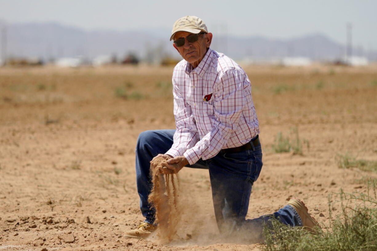 Kelly Anderson shows how dry one of his fields is, Thursday, Aug. 18, 2022, in Maricopa, Ariz. Anderson grows specialty crops for the flower industry and leases land to alfalfa farmers whose crops feed cattle at nearby dairy farms. He knows what's at stake as states dither over cuts and expects about half of the area will go unplanted next year, after farmers in the region lose all access to the river.