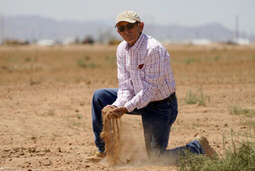 Kelly Anderson shows how dry one of his fields is, Thursday, Aug. 18, 2022, in Maricopa, Ariz. Anderson grows specialty crops for the flower industry and leases land to alfalfa farmers whose crops feed cattle at nearby dairy farms. He knows what's at stake as states dither over cuts and expects about half of the area will go unplanted next year, after farmers in the region lose all access to the river.