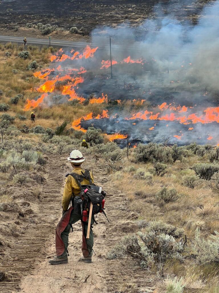 DNR Hand Crew 411 conducts a burnout operation on Division Kilo near the Vantage Fire's origin area on Monday. (Photo by Bryan Lyle/Courtesy of Kittitas County Sheriff's Office.