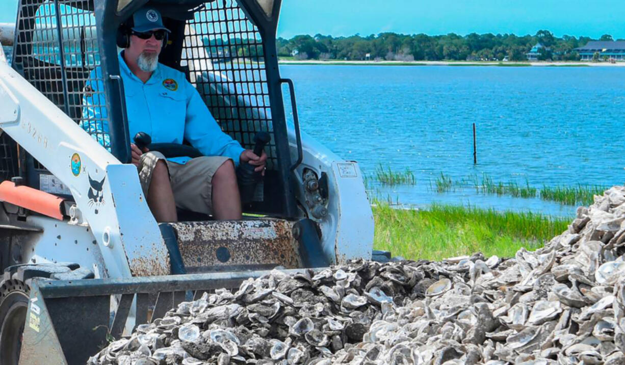 With Fripp Island in the background, Michael Hodges, a biologist with the South Carolina Department of Natural Resources, uses the bucket of a front-end loader to scoop up oyster shells on July 7, 2022, at Russ Point Landing on Hunting Island. The oyster shells would be planted in the mud flats of Harbor River to create a surface that baby oysters can stick to and grow.