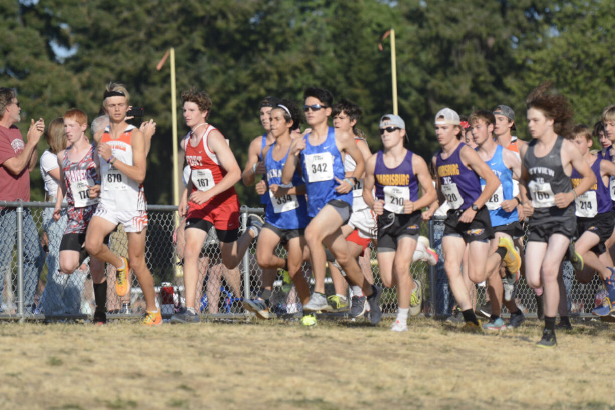 Runners in the boys varsity race take off in the Steve Mass Run-a-Ree cross country race on Friday at Hudson's Bay High School.