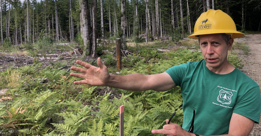 Helping hand? Forester Andrew Bower is experimenting with tree migration.