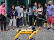 Mia Qu, third from right, a second-year student at the University of Washington Law School, gasps in delight after making Spot, an AI robot created by Boston Dynamics, pick up a cup during the We Robot 2022 conference at UW on Sept. 15, 2022, in Seattle. The robot is intended to easily navigate and gather data in rough terrain.