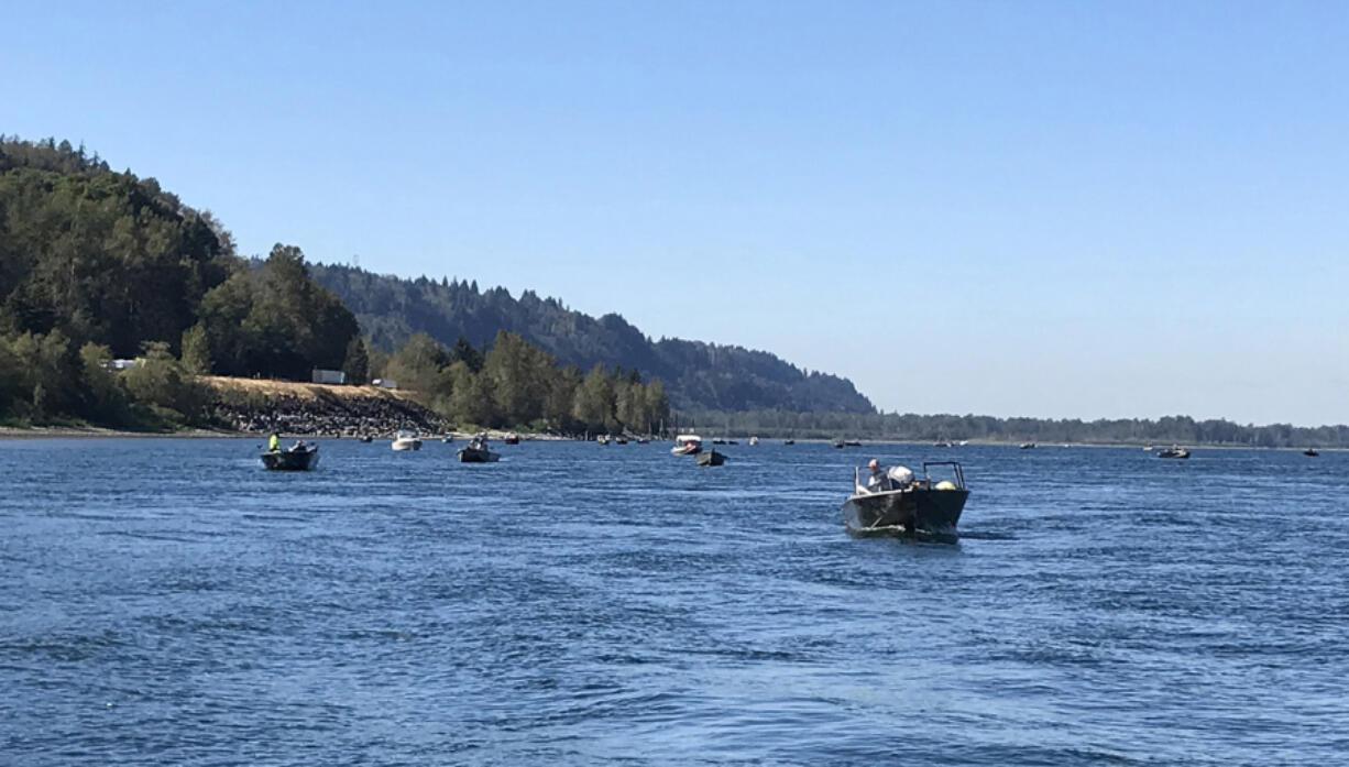 Fishing effort and catched in the Columbia River just upstream of Corbett, Ore., are beginning to slow as most of the chinook run has more farther upstream.