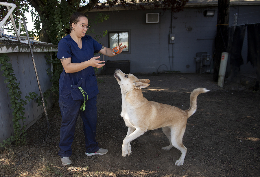 Baleigh Hampton, kennel assistant for the West Columbia Gorge Humane Society, plays with shelter dog, Penny, on Thursday morning. Proceeds from the All Paws on Deck fundraiser will go toward the Humane Society for acquiring pet supplies, footing medical bills and funding staff.
