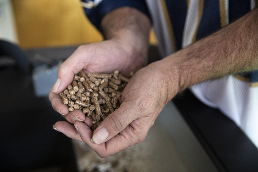 General manager Brian Taylor holds a handful of wood pellets at Morton's Stoves, Pools, and Spas in Vancouver. Wood pellet producers in the U.S. are encouraging pellet stove owners to get their pellets early this year due to expected shortages.