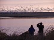 Two bird watchers photograph thousands of snow geese at the Freezeout Lake Wildlife Management Area on March 24, 2017, outside Fairfield, Mont. A new online atlas of bird migration, published Sept. 15, draws from an unprecedented number of scientific and community data sources to illustrate the routes of about 450 bird species in the Americas.