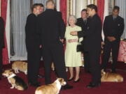 FILE - Britain's Queen Elizabeth II meets the New Zealand All Blacks rugby team will the royal corgis in attendance at Buckingham Palace, London Tuesday Nov. 5, 2002. Queen Elizabeth II's corgis were a key part of her public persona and her death has raised concern over who will care for her beloved dogs. The corgis were always by her side and lived a life of privilege fit for a royal. She owned nearly 30 throughout her life. She is reportedly survived by four dogs.