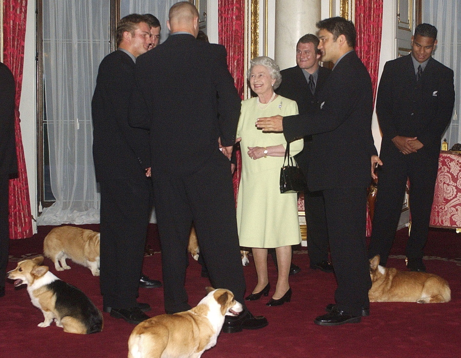 FILE - Britain's Queen Elizabeth II meets the New Zealand All Blacks rugby team will the royal corgis in attendance at Buckingham Palace, London Tuesday Nov. 5, 2002. Queen Elizabeth II's corgis were a key part of her public persona and her death has raised concern over who will care for her beloved dogs. The corgis were always by her side and lived a life of privilege fit for a royal. She owned nearly 30 throughout her life. She is reportedly survived by four dogs.