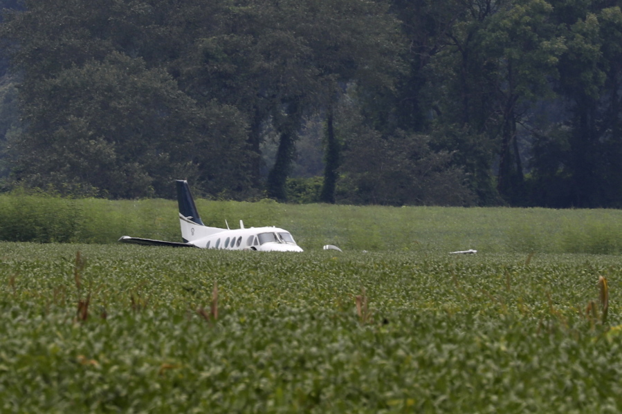 A stolen airplane rests in a field of soybeans after crash-landing near Ripley, Miss., on Saturday, Sept. 3, 2022. Authorities say a man who stole a plane and flew it over Mississippi after threatening to crash it into a Walmart store faces charges of grand larceny and terroristic threats.