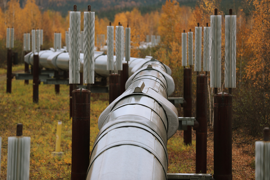 In this file photo, a part of the Trans Alaska Pipeline System is seen on September 17, 2019, in Fairbanks, Alaska. The 800-mile-long pipeline carries oil from Prudhoe Bay to Valdez.