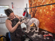 Janna Tuttle is the owner of Furever Pawfect Dog Grooming in Vancouver.