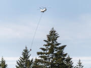 A helicopter carries a water bucket over Grove Field Monday, Sept. 17, 2022, in Camas. The fire ballooned to more than 1400 acres after dry and windy conditions on Sunday.