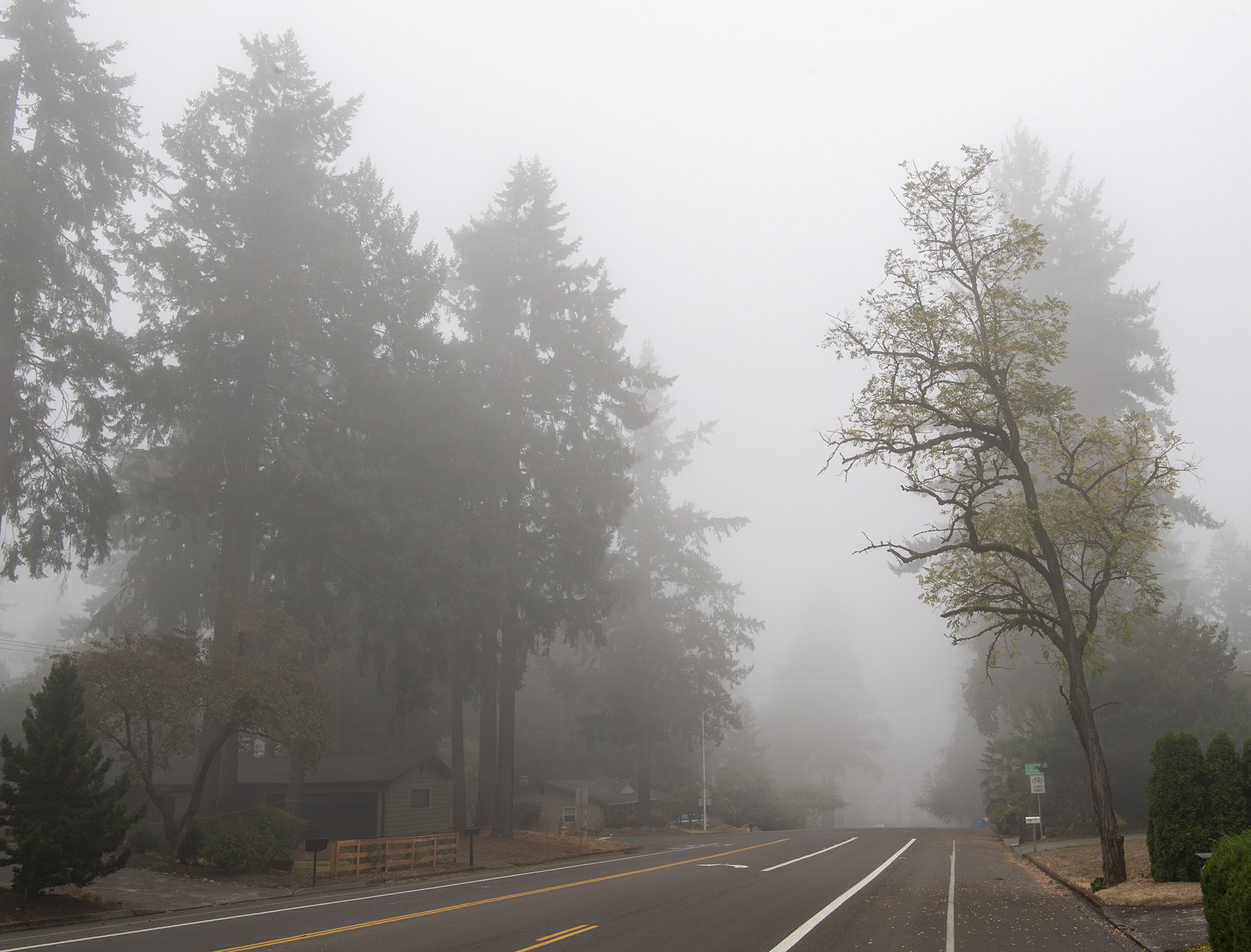 Smoke obscures trees Tuesday, Sept. 18, 2022, on Southeast 98th Avenue in Vancouver. Smoke from the Nakia Creek Fire and a morning layer of fog pushed air quality into the ÄúunhealthyÄù range.