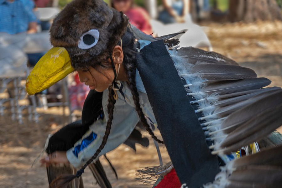 Yakama Nation dancer Moses Walsey, wearing a bald eagle headdress, helps commemorate the removal of Condit Dam.