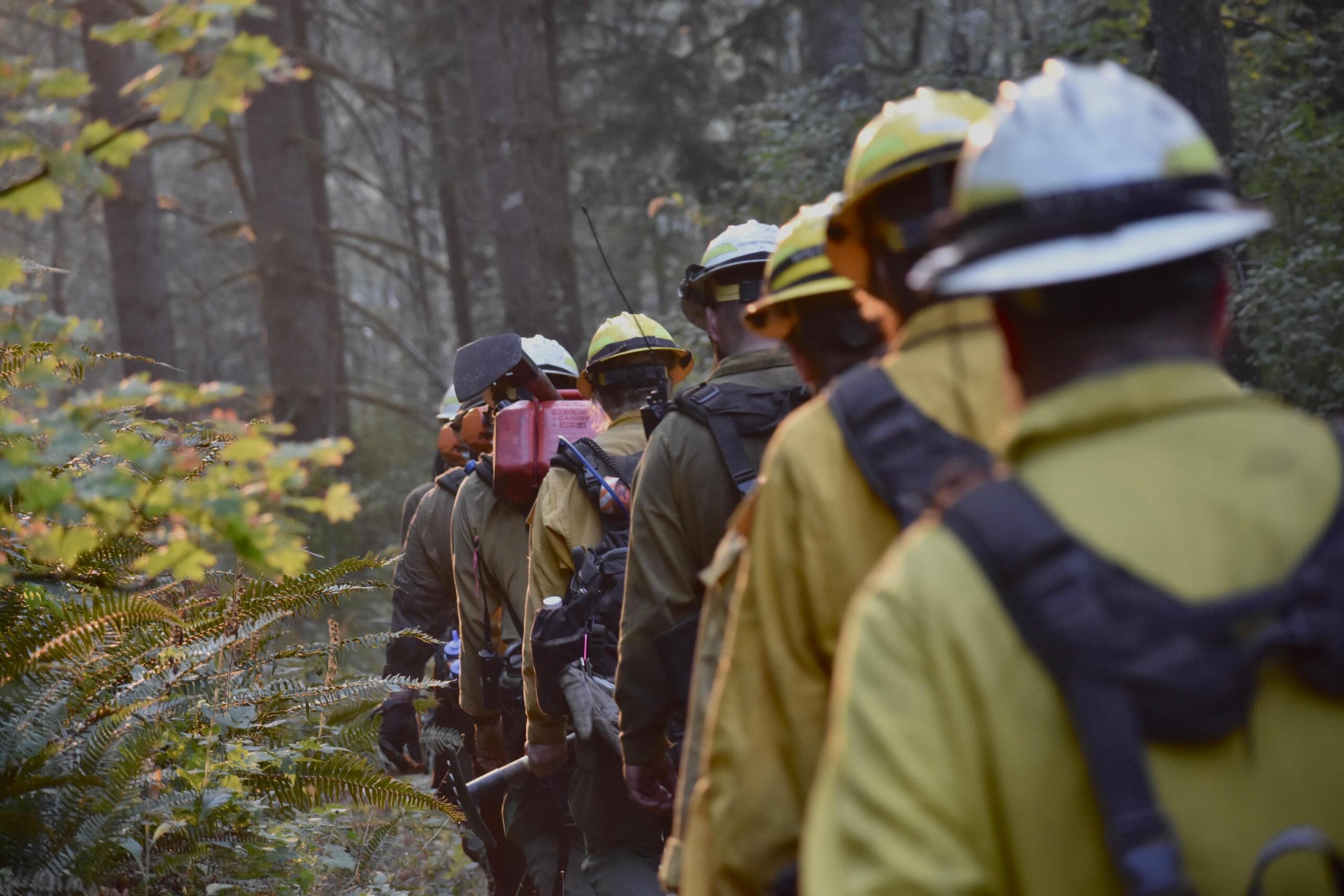 A crew fighting the Nakia Creek Fire in east Clark County walks single file through the forest near Larch Mountain.