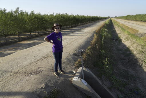 Elaine Moore stands next to a dry irrigation canal and almond orchard near her property, where two wells have gone dry this summer in Chowchilla, Calif., Sept. 14, 2022. Amid a megadrought plaguing the American West, more rural communities are losing access to groundwater as heavy pumping depletes underground aquifers that aren't being replenished by rain and snow.