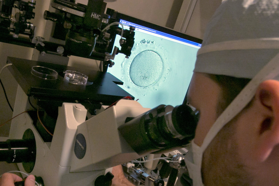 FILE - An embryologist uses a microscope to examine an embryo, visible on a monitor, center, at a clinic in New York on Thursday, Oct. 3, 2013. Black-white disparities exist in fertility medicine, according to a study of U.S. births, released on Wednesday, Oct. 19, 2022. Researchers found a gap in deaths of infants born to Black women who used fertility treatment compared to white women, a gap much wider than seen in babies born without fertility treatment.