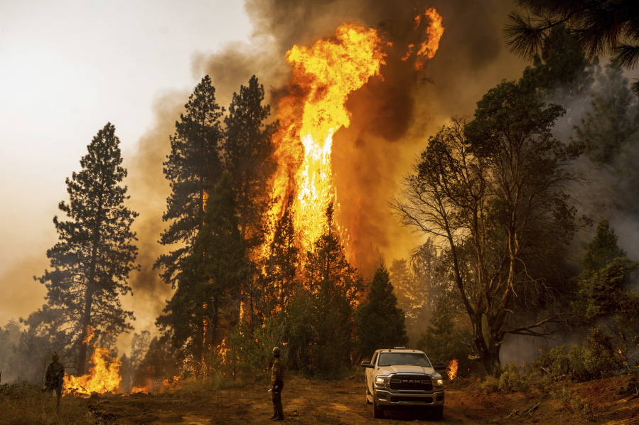 A firefighter monitors a backfire, flames lit by fire crews to burn off vegetation, while battling the Mosquito Fire in El Dorado County, Calif., on Sept. 9.