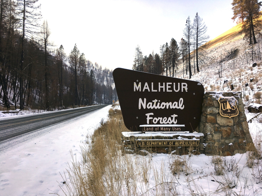 FILE - This Dec. 7, 2016 photo, shows the entrance to the Malheur National Forest near John Day, Ore. Rick Snodgrass, the U.S. Forest Service "burn boss," was arrested Wednesday, Oct. 19, 2022, by a county sheriff after a planned burn at Malheur National Forest spread onto private land. He was conditionally released. Prescribed burns are set intentionally and under carefully controlled conditions to clear underbrush, pine needle beds and other surface fuels that make forests more prone to wildfires.