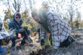 Clark College student Taylor Dillaman, right, plants yarrow Nov. 15 at the Sams Walker Day Use Area near Skamania. The Center for Ecodynamic Restoration is working with the U.S. Forest Service, Friends of the Columbia Gorge and Skamania County on restoring the land to a meadow of native wildflowers.