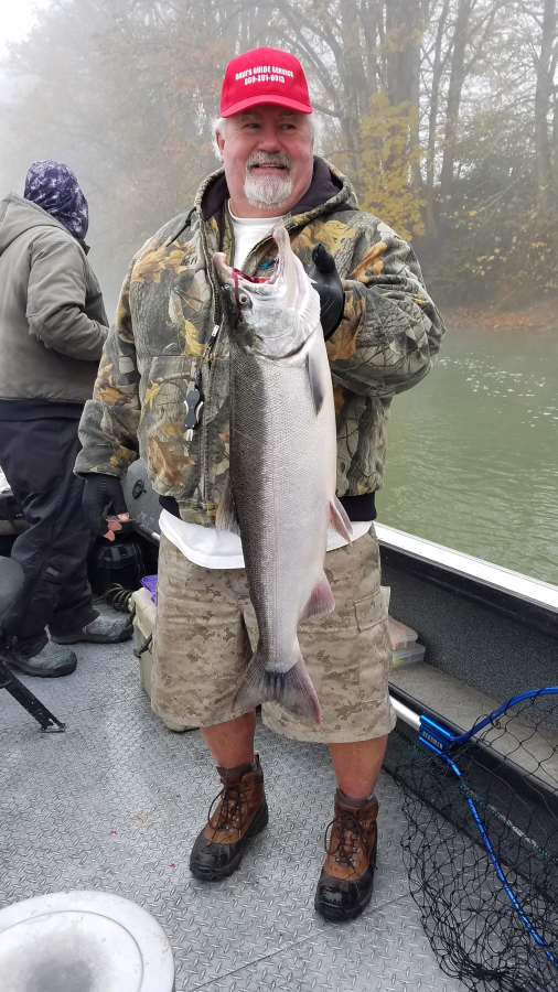 Scott Stulgis holds a fine 'B' run Cowlitz coho salmon, taken while fishing with guide Dave Mallahan of Fishing with Dave guide service. There are still late run coho to be found in local rivers, but anglers need to get out soon before its all over.