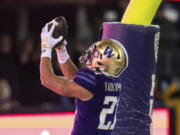 Washington running back Wayne Taulapapa celebrates after scoring a touchdown against Colorado during the first half of an NCAA college football game Saturday, Nov. 19, 2022, in Seattle.