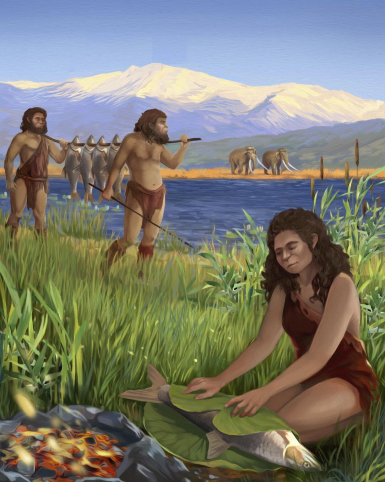 This illustration provided by Tel Aviv University depicts hominins preparing Luciobarbus longiceps fish on the shores of the ancient lake Lake Hula. A recent study found the oldest evidence of using fire to cook, dating back to 780,000 years ago.