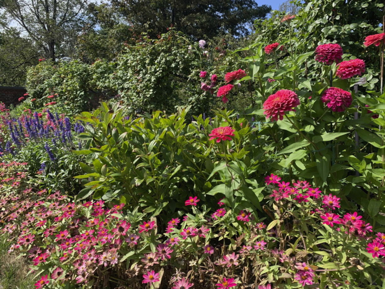 This Sept. 3, 2020, photo provided by Jessica Damiano shows a mixed garden border blooming in Old Westbury, NY.