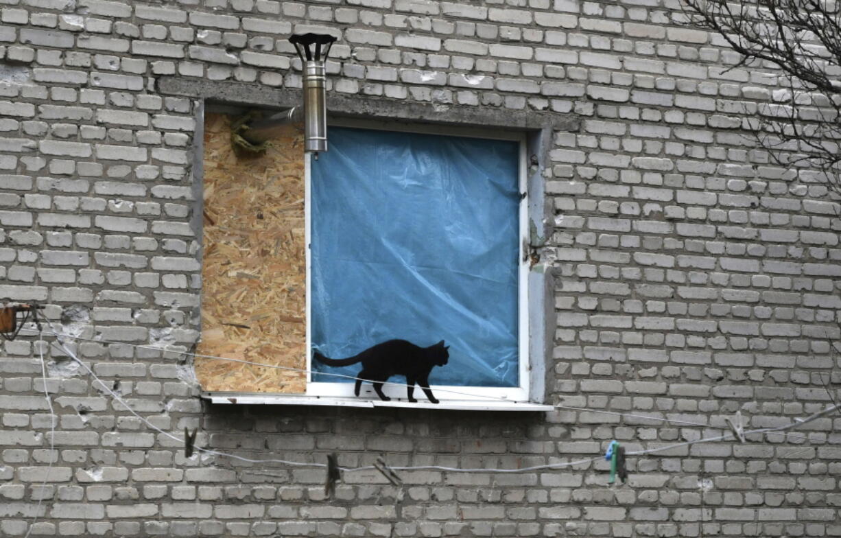 A cat walks on the windowsill with stove pipe sticking out of boarded window in an apartment building in Lyman, Donetsk region, Ukraine, Sunday, Nov. 20, 2022. The situation in Ukraine's capital, Kyiv, and other major cities has deteriorated drastically following the largest missile attack on the country's power grid on Tuesday, Nov. 15, 2022. Ukrainian state-owned grid operator Ukrenergo reported that 40% of Ukrainians were experiencing difficulties, due to damage to at least 15 major energy hubs across the country.