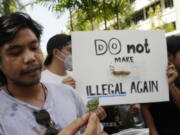 A cannabis supporter holds a piece of cannabis during a demonstration outside the Government House in Bangkok, Thailand, Tuesday, Nov. 22, 2022. Thailand made it legal to cultivate and possess marijuana for medicinal purposes earlier this year, but lax regulations allowed the growth of a recreational marijuana industry, and the demonstrators don't want the rules against it to be strengthened again.
