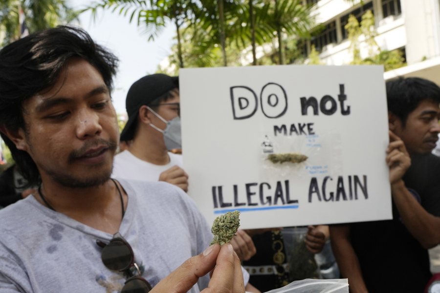 A cannabis supporter holds a piece of cannabis during a demonstration outside the Government House in Bangkok, Thailand, Tuesday, Nov. 22, 2022. Thailand made it legal to cultivate and possess marijuana for medicinal purposes earlier this year, but lax regulations allowed the growth of a recreational marijuana industry, and the demonstrators don't want the rules against it to be strengthened again.