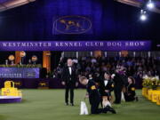 Best in show judge, Dr. Don Sturz, standing at center, is shown at the 146th Westminster Kennel Club Dog Show, on June 22 in Tarrytown, N.Y.