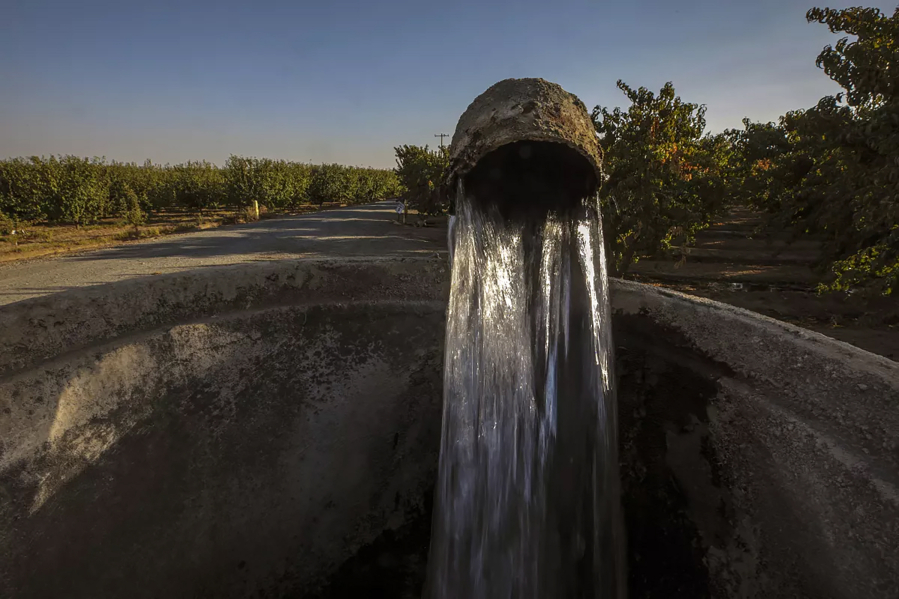 Water flows from an underground well to irrigate an orchard in Visalia, Calif.