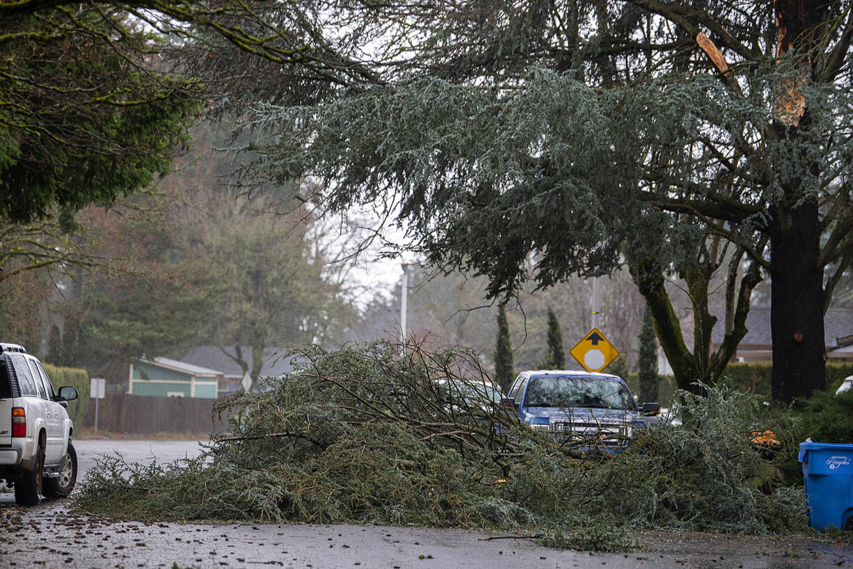 A downed tree branch blocks the street along Southeast 119th Avenue on Tuesday morning, Dec. 27, 2022.