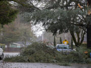 A downed tree branch blocks the street along Southeast 119th Avenue on Tuesday morning, Dec. 27, 2022.
