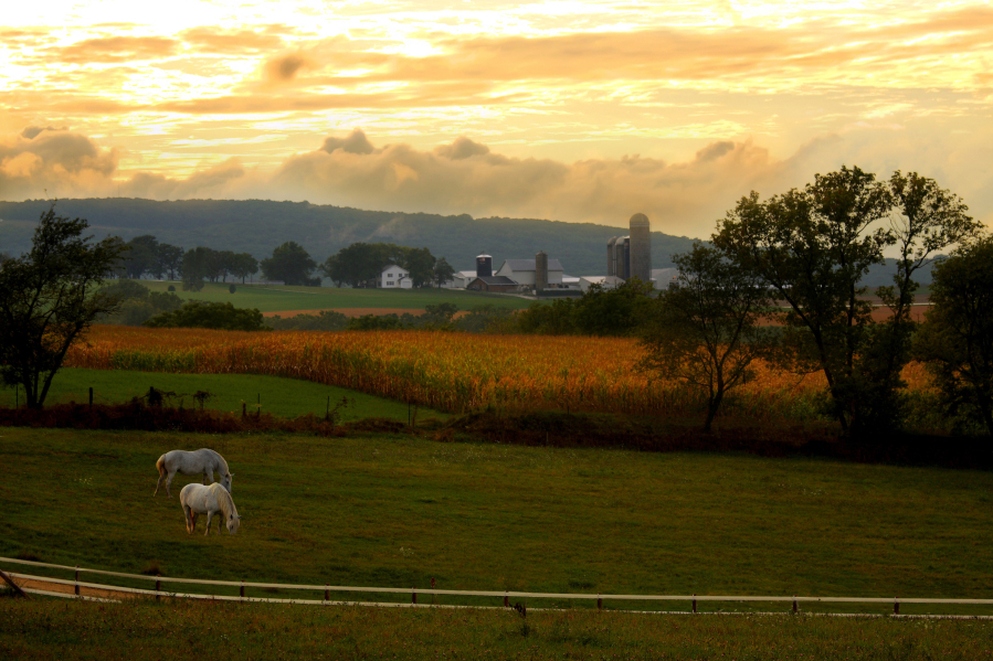 View of farmland in southwestern Wisconsin.