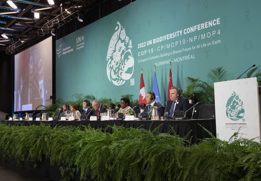 The head table gets set to open the high level segment at the COP15 biodiversity conference, in Montreal, Thursday, Dec. 15, 2022.