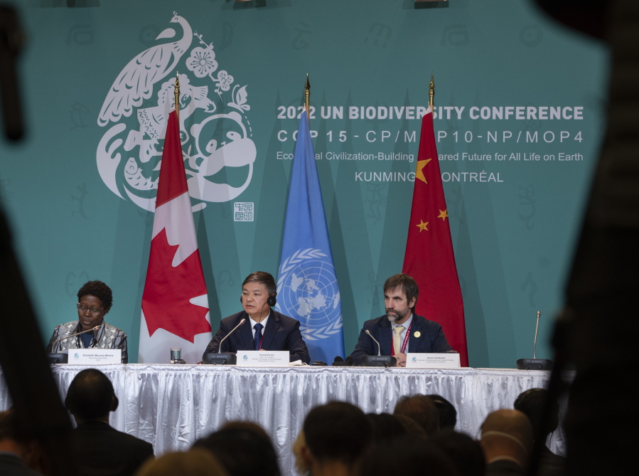Chinese President Xi Jinping makes a video address at the opening of the high level segment at the COP15 biodiversity conference, in Montreal, Thursday, Dec. 15, 2022.