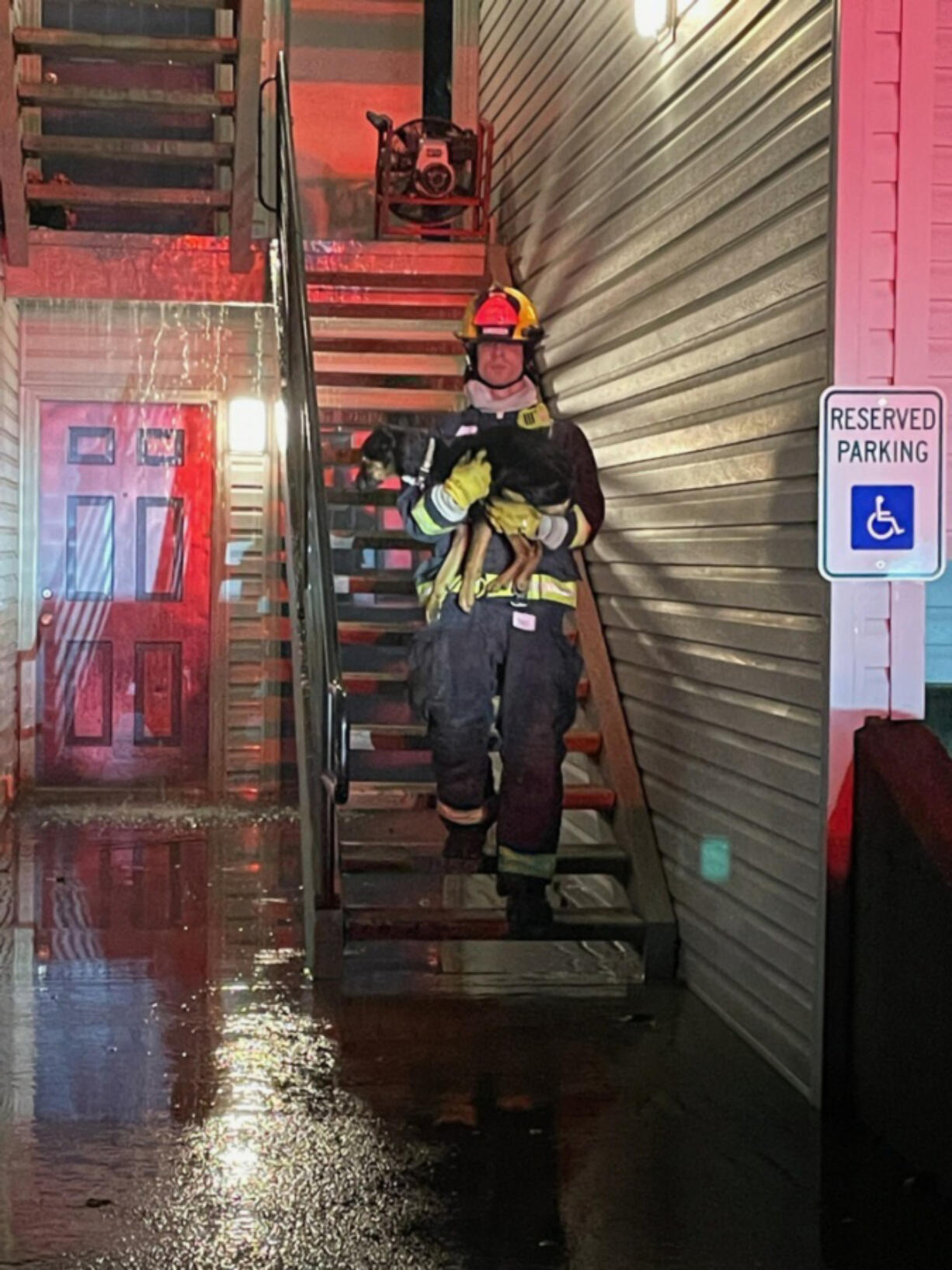 A dog is moved to safety by a Vancouver firefighter after an apartment fire Saturday evening at the Regency Apartments, 11301 S.E. 10th St. in Vancouver.