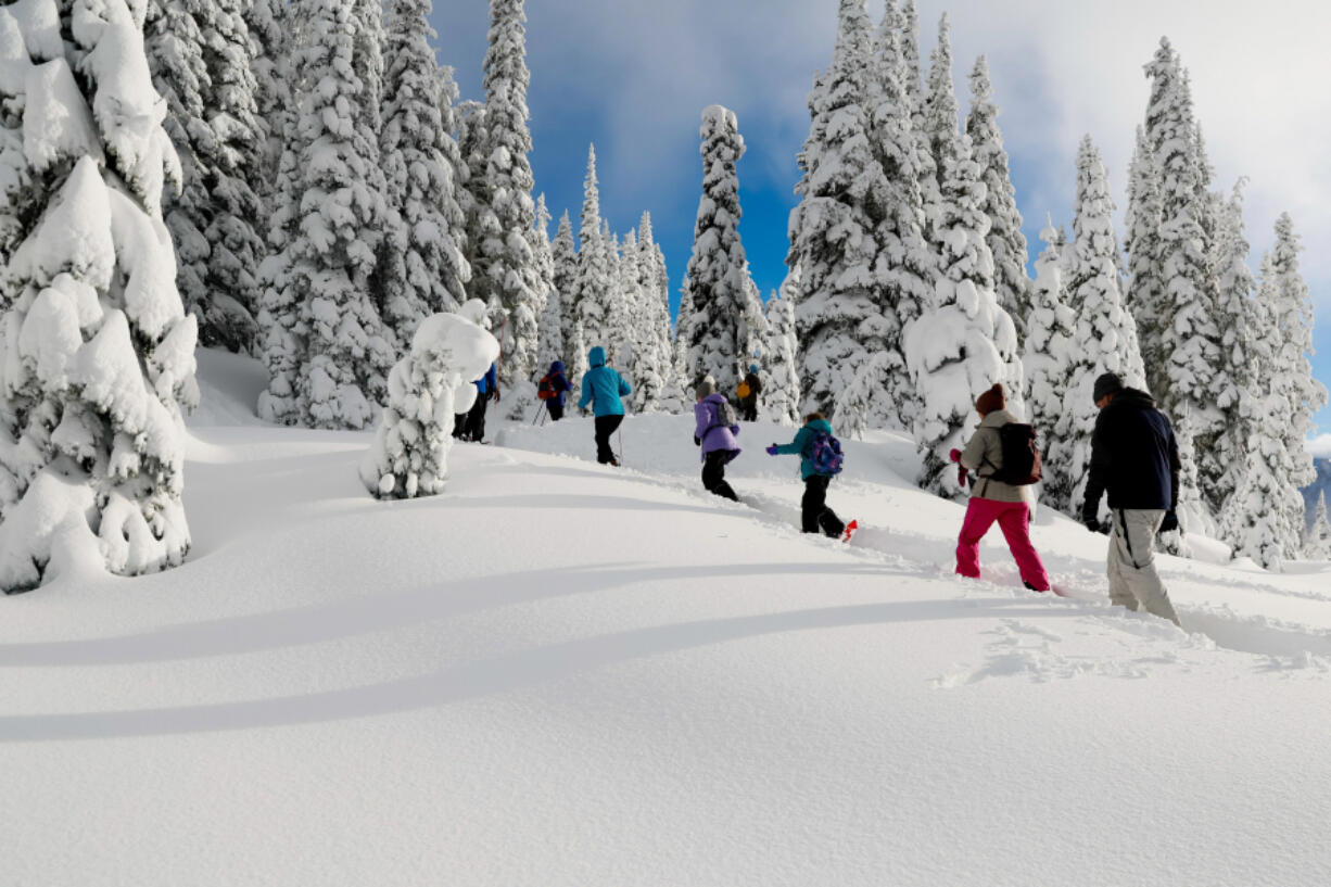 A group of snowshoers and their shadows go for a walk near Paradise at Mt. Rainier National Park Saturday, Dec. 31, 2022.
