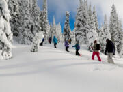 A group of snowshoers and their shadows go for a walk near Paradise at Mt. Rainier National Park Saturday, Dec. 31, 2022.