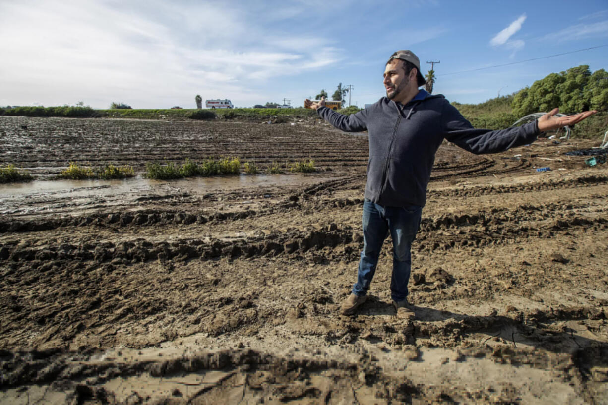 Juan Carlos, 38, owner of American Berry Farm in Ventura, stands beside a 20-acre strawberry field that was recently flooded when the nearby Santa Clara River overflowed amid heavy rains.
