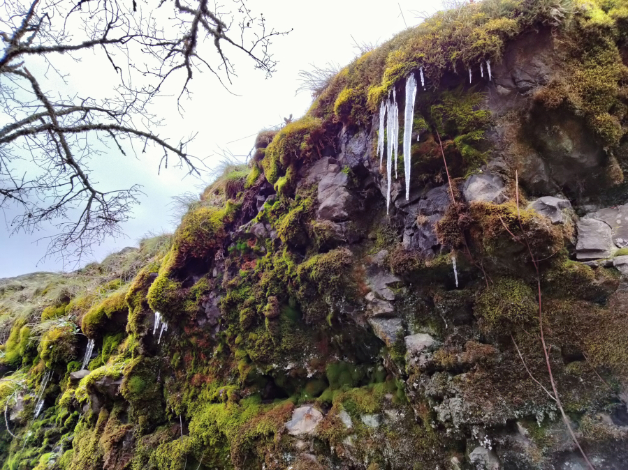 An icy January 2022 walk at Coyote Wall in the Columbia River Gorge offers beautiful views in winter.