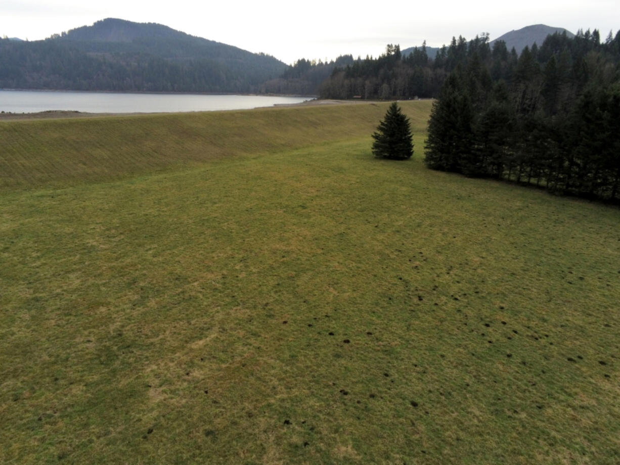 Saddle Dam on Yale Lake, one of three large reservoirs on the North Fork of the Lewis River, will be retrofitted due to seismic concerns, leading to park closures and a temporary displacement of nearby elk habitats.